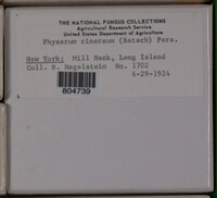 Image Associated With the Occurence